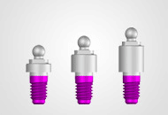 camlog implantate kugelkopfanker