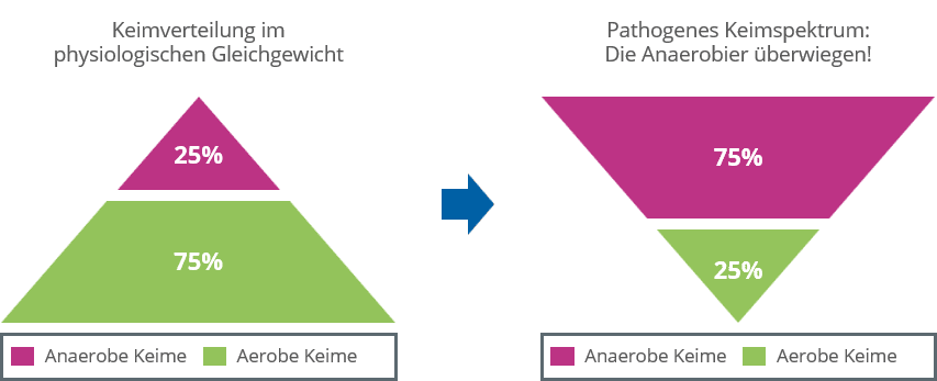 parodontitis bakterientest - Anaerobe und Aerobe Keime im Mund