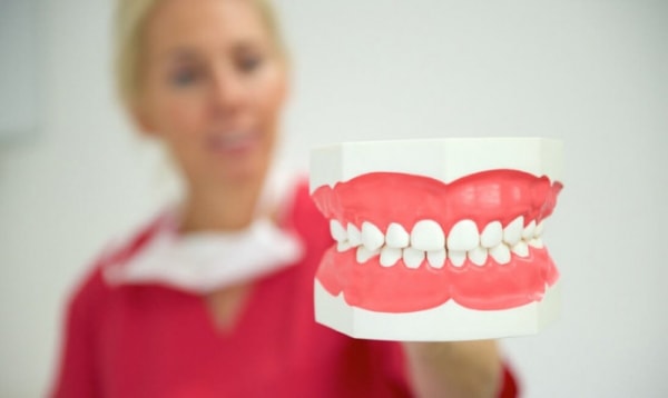 Prophylaxeassistentin mit Zahnmodell