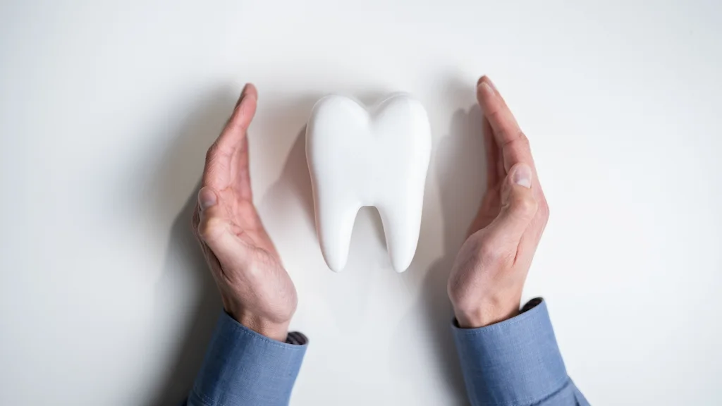 Zwei H&auml;nde, die ein Zahnmodell von beiden Seiten vor Gefahren abdecken