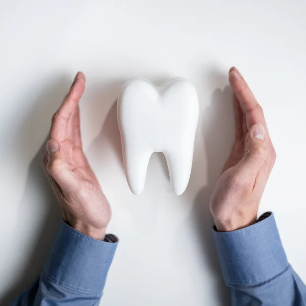 Zwei H&auml;nde, die ein Zahnmodell von beiden Seiten vor Gefahren abdecken