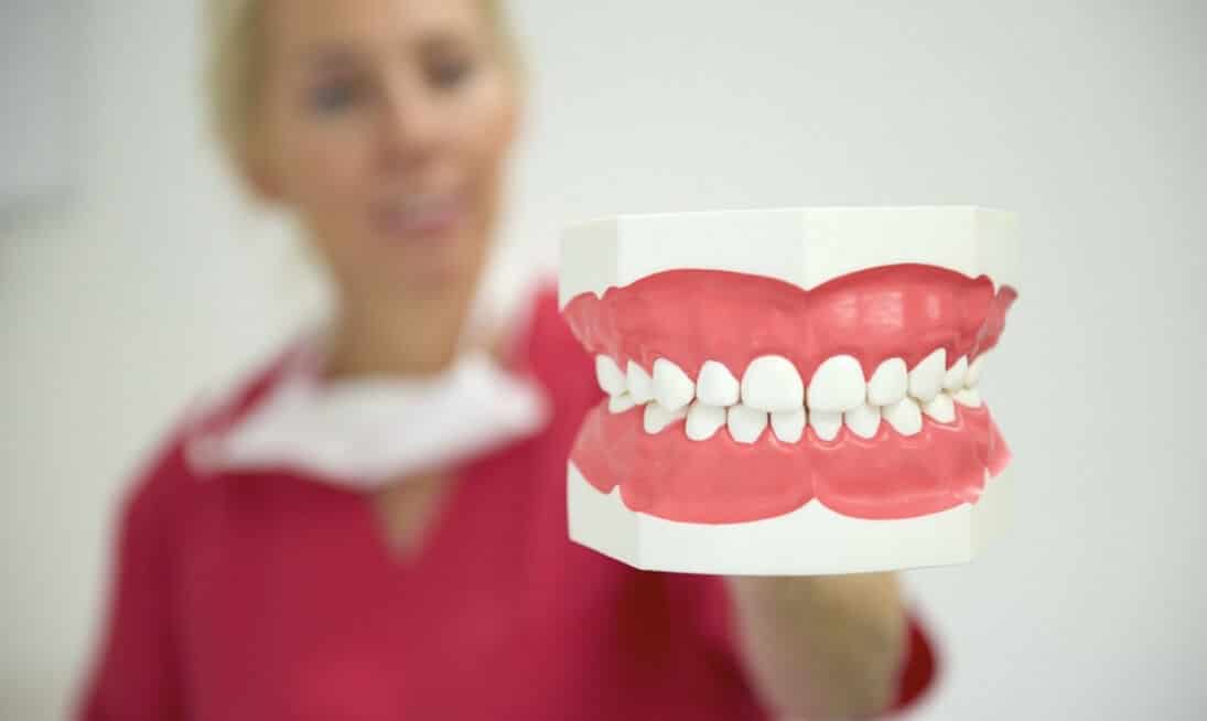 Zahnmodell im Fokus, gehalten von einer Mitarbeiterin der Zahnarztpraxis ZPK Herne